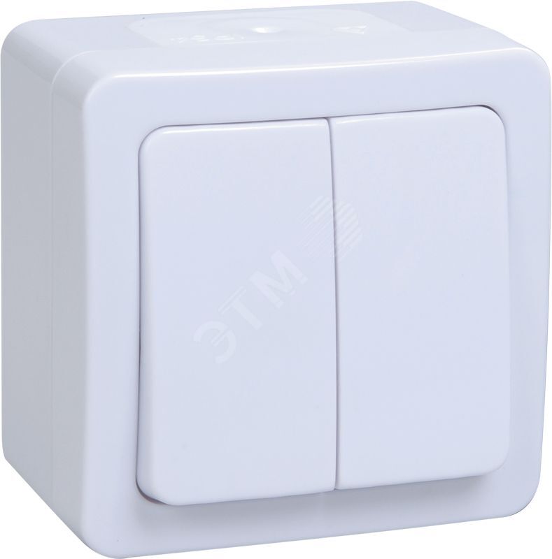 TORS Выключатель двухклавишный 10А IP55 TS105 графит