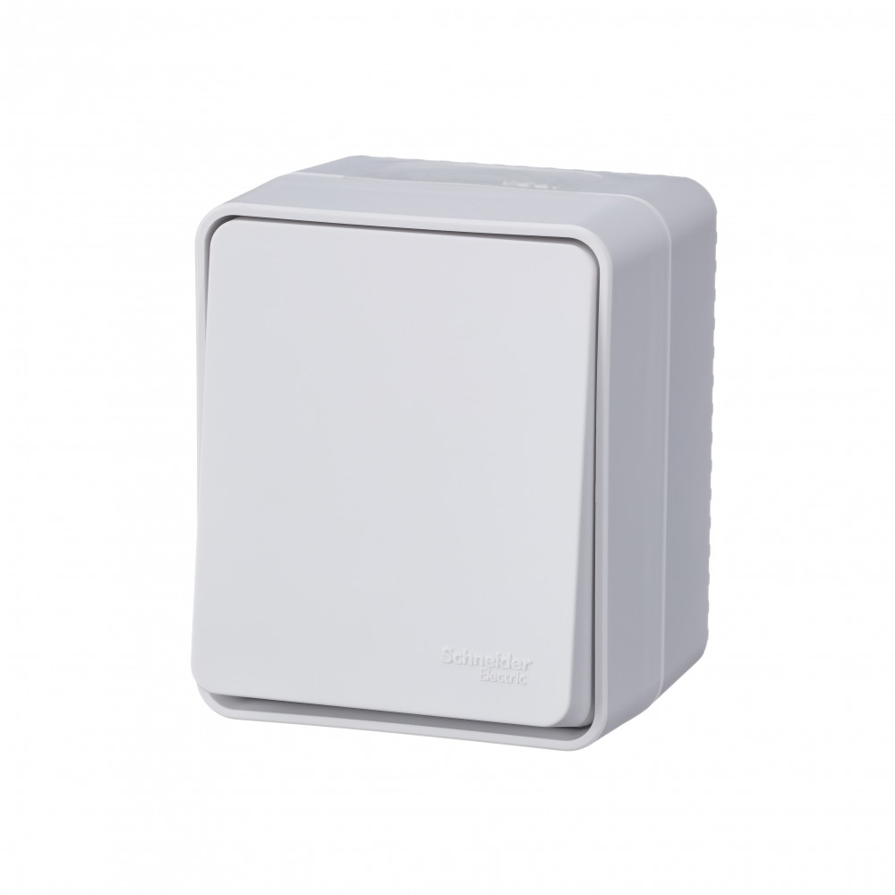Переключатель IP65, 10АХ-250В, ОУ, Эра Эксперт, серый,11-1603-03