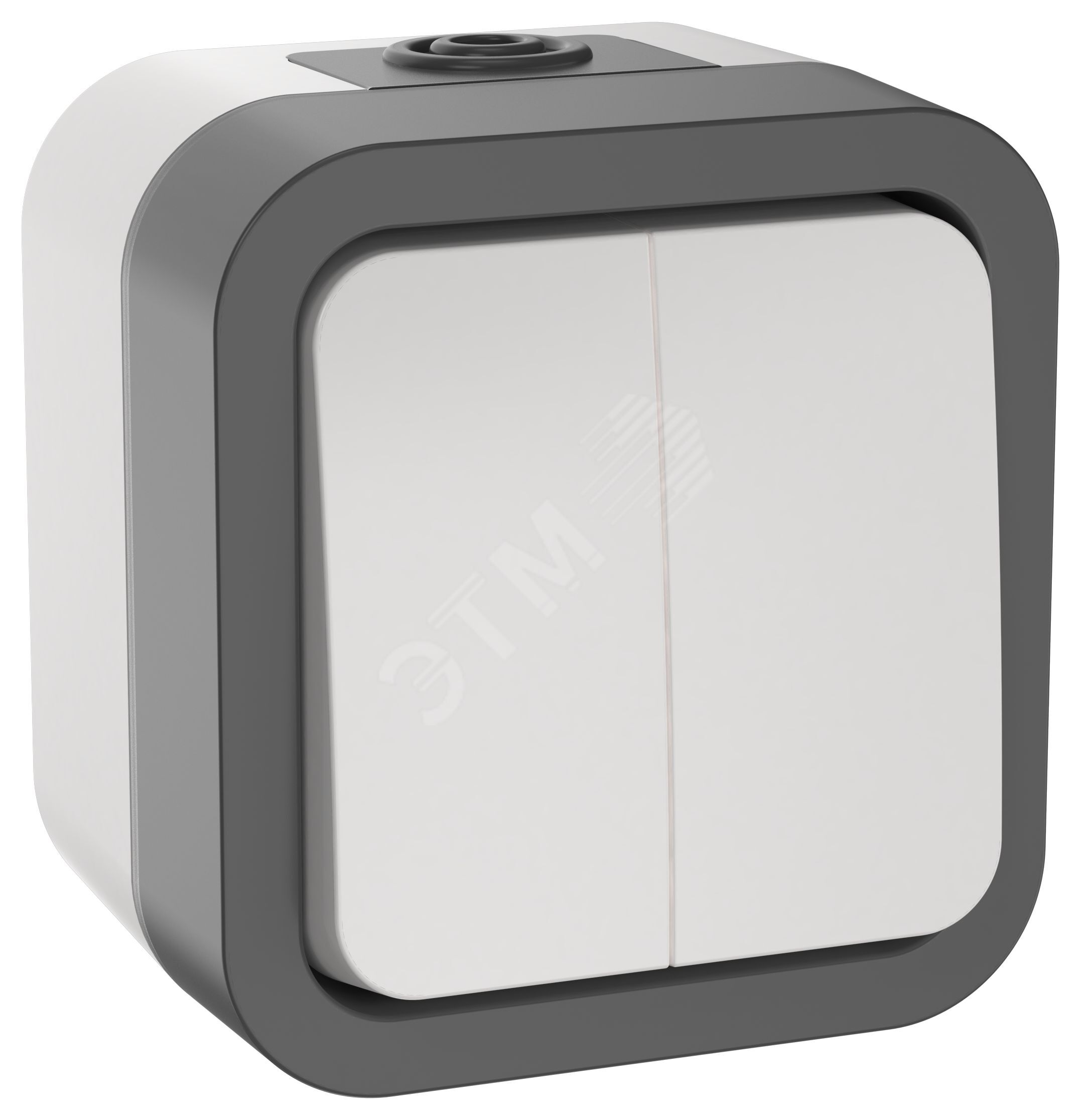 TORS Выключатель двухклавишный 10А IP55 TS205 серо-белый