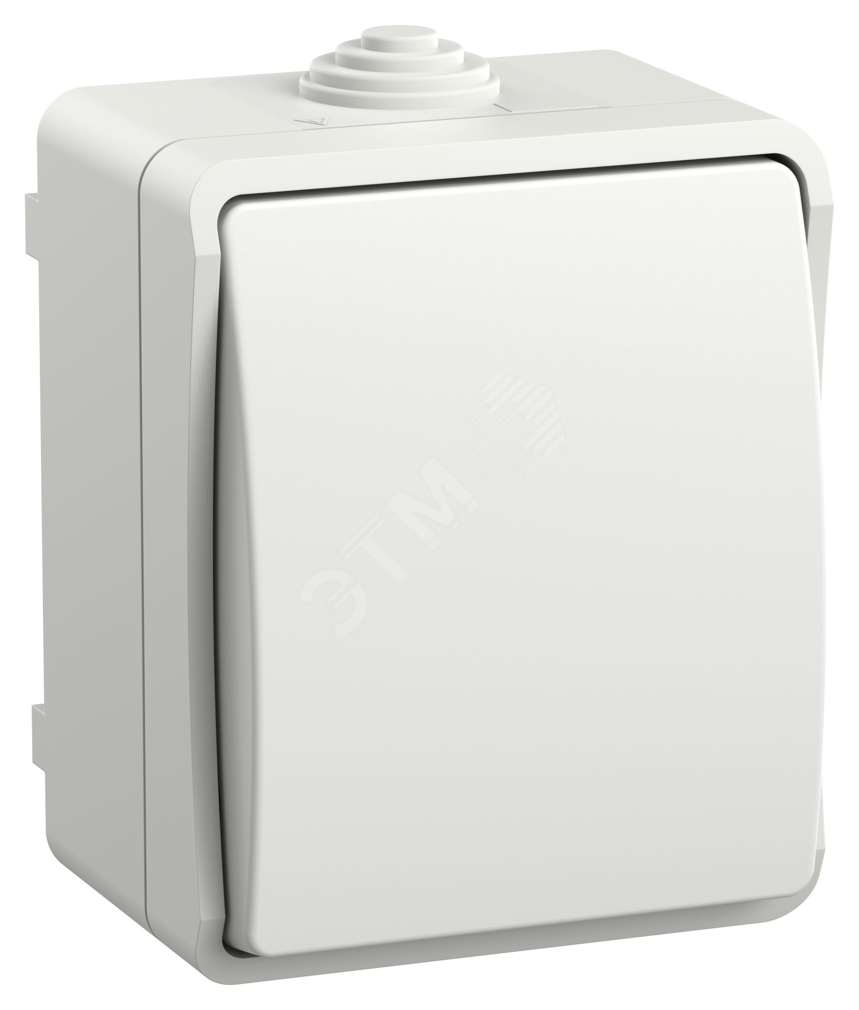 TORS Выключатель кнопочный 10А IP55 TS110 графит