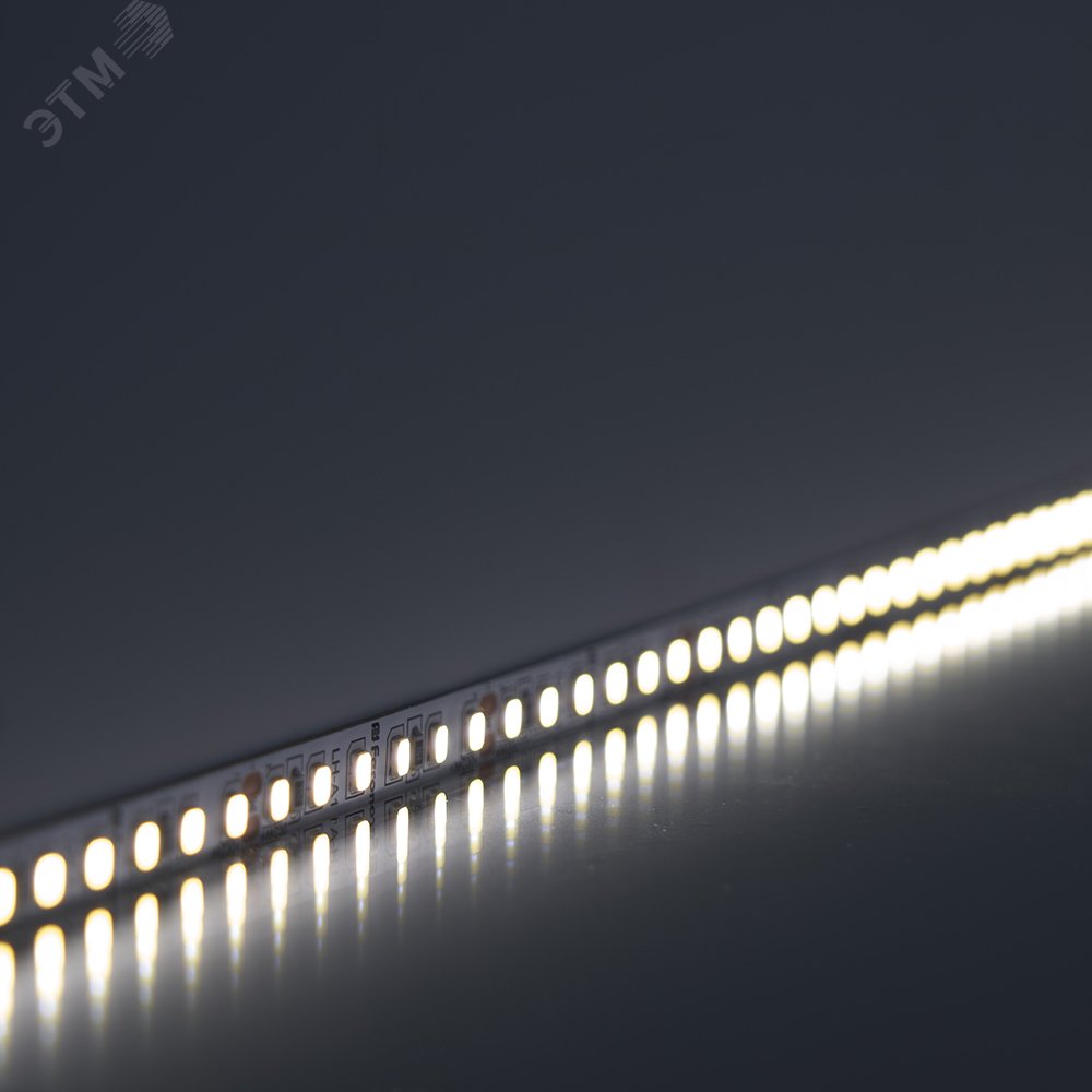 Лента светодиодная 11Вт/м 24В 4000К IP20 120LED/м LS501