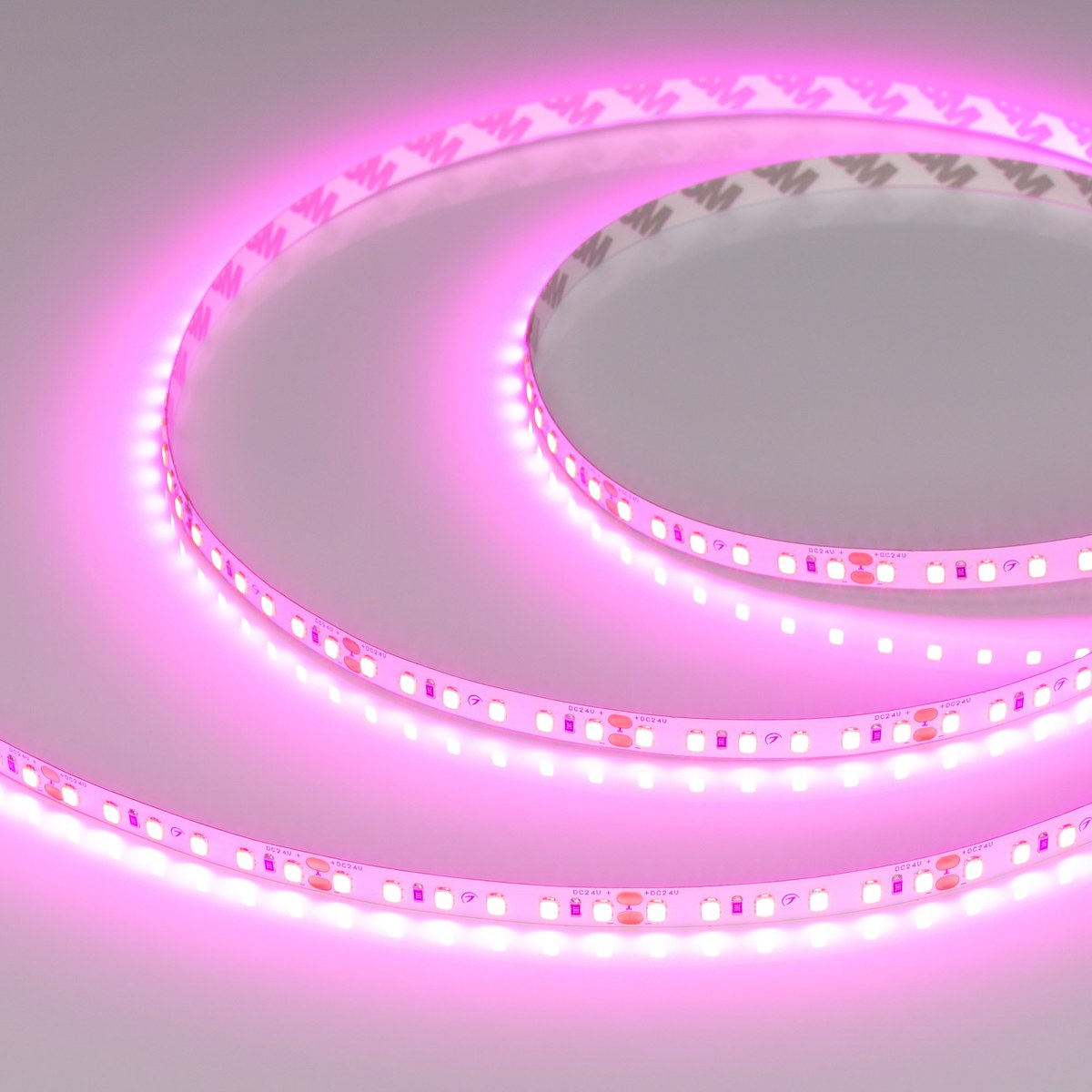 Светодиодная лента RT-A120-8mm 24V Magenta (9.6 W/m, IP20, 2835, 5m)