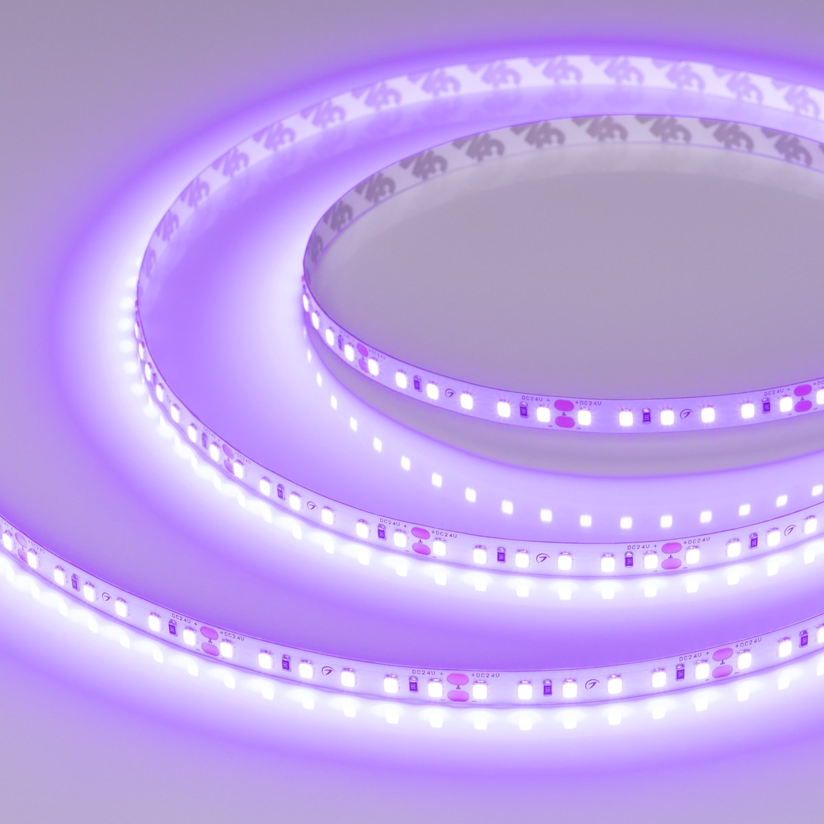 Светодиодная лента RT-A120-8mm 24V Violet (9.6 W/m, IP20, 2835, 5m)