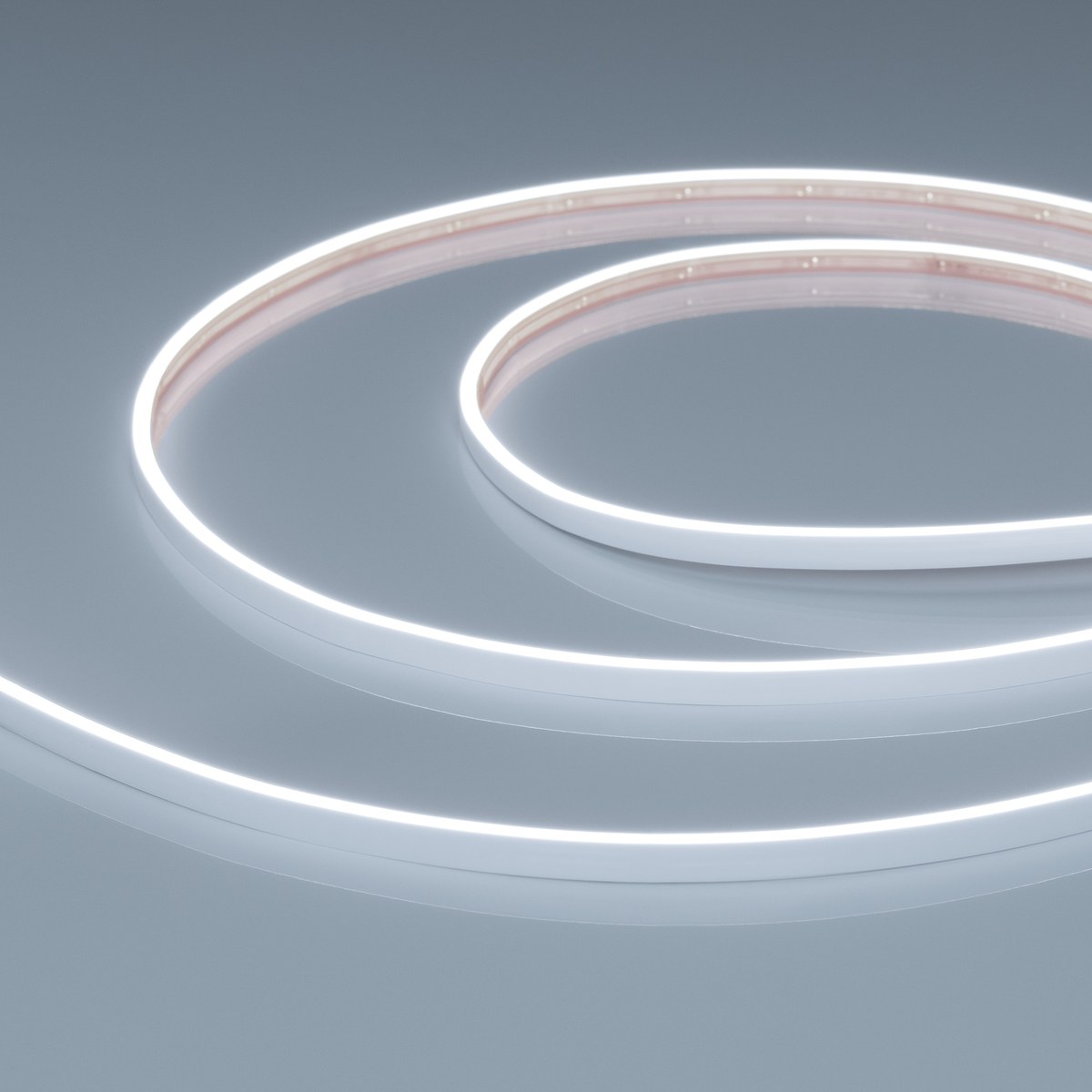 Светодиодная лента герметичная VELA-M240-2.5x6mm 24V White6000 (5 W/m, IP65, 5m)