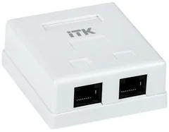 Настенная информационная розетка RJ45 8P8C кат.5E UTP 2-порта белая
