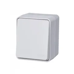 Переключатель IP65, 10АХ-250В, ОУ, Эра Эксперт, серый,11-1603-03