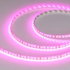 Светодиодная лента RT-A120-8mm 24V Magenta (9.6 W/m, IP20, 2835, 5m)