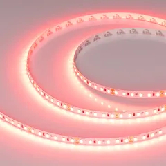 Светодиодная лента RT-A120-8mm 24V Scarlet (9.6 W/m, IP20, 2835, 5m)