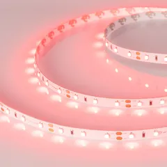 Светодиодная лента RT-A60-8mm 12V Red (4.8 W/m, IP20, 2835, 5m)