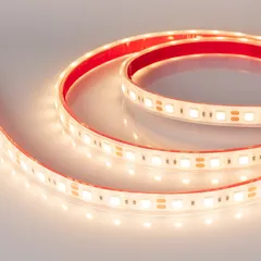Светодиодная лента герметичная RTW-PFS-B60-13mm 12V Warm3000 (14.4 W/m, IP68, 5060, 5m)