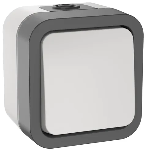 TORS Переключатель одноклавишный 10А IP55 TS201 серо-белый